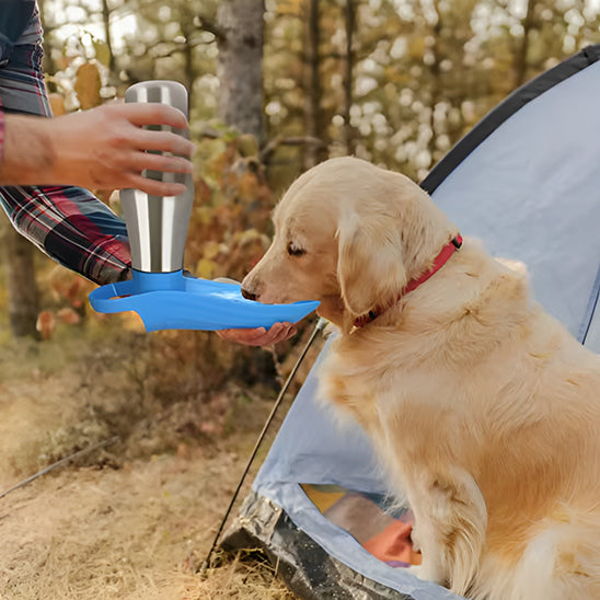 Gourde pour chien